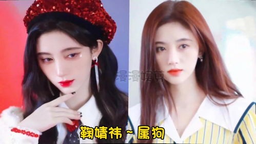 赵丽颖生肖星座：揭秘明星与生肖的神秘联系！