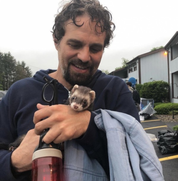 荷里活环保男明星