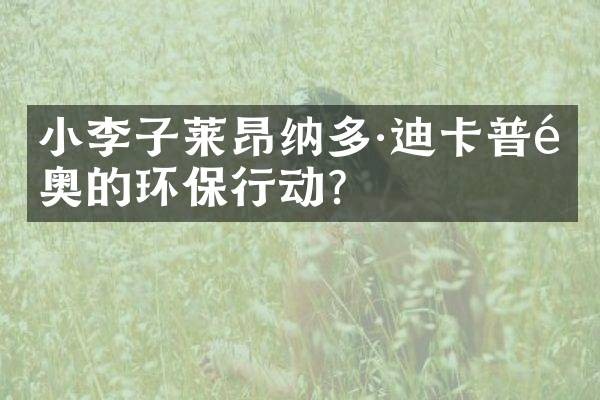 小李子莱昂纳多·迪卡普里奥的环保行动？