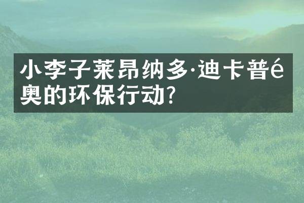 小李子莱昂纳多·迪卡普里奥的环保行动？