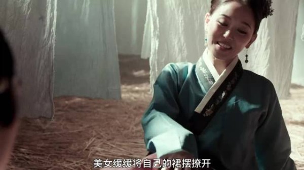 女人为了进行报仇，伪装身份潜入宫中，不料中途发生了意外！