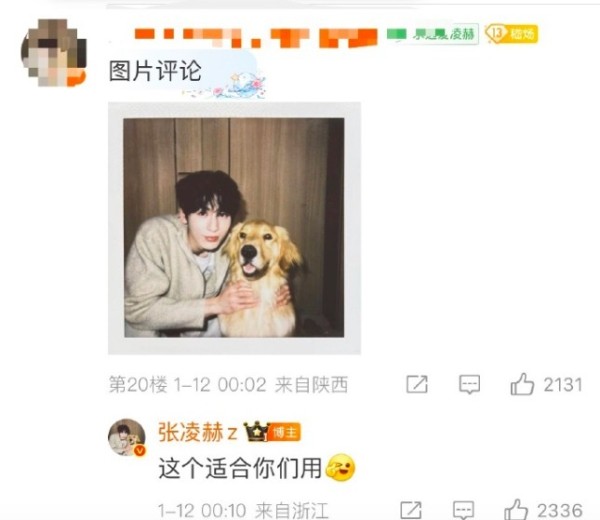 张凌赫用了粉丝选的头像 被称“内娱活人范本”