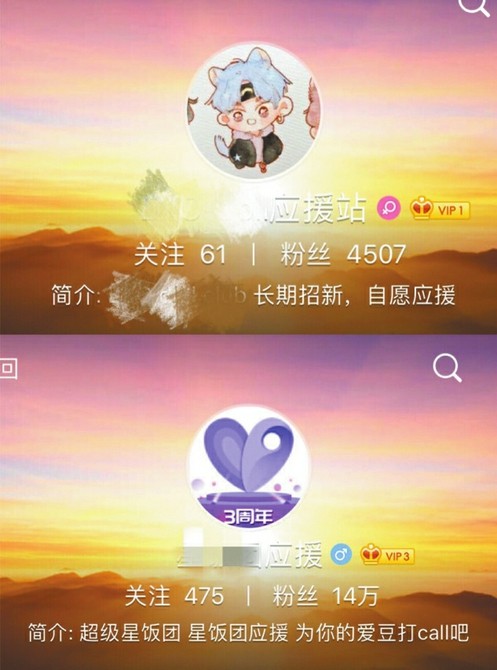 成都85后女子3年花费近30万追星 自费坐头等舱跟拍