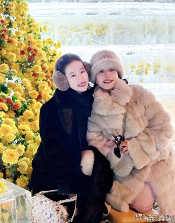 刘亦菲带65岁妈妈回哈尔滨,妈妈如此年轻,母女同框像姐妹