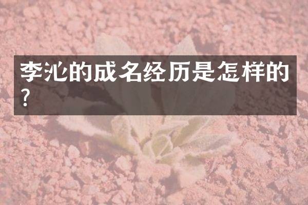 李沁的成名经历是怎样的？