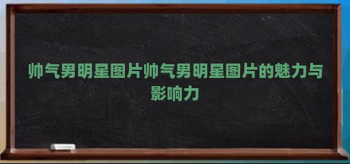 帅气男明星图片帅气男明星图片的魅力与影响力