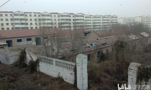 星座查询配对最全(男女星座匹配度查询)