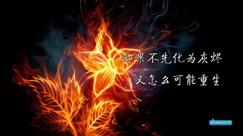 腾讯星座运势榜：2023年最新星座运势解析与趋势预测）