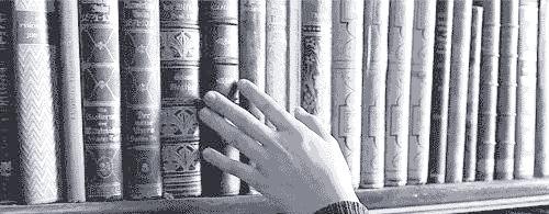 探索星盘中的伴侣特质与情感选择