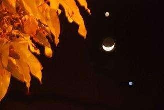 星星和月亮能同时出现吗