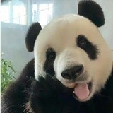 不定时更新】有用：各家明星公关团队快来学习它们呀，遇事莫慌