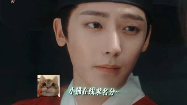 就是要又争又抢!不然你以为茶猫的名份怎么来的?侯明昊 娜扎