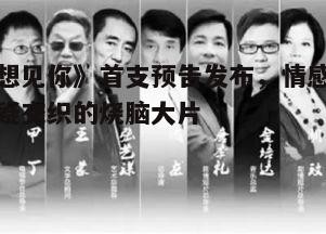 四、导演与制作团队