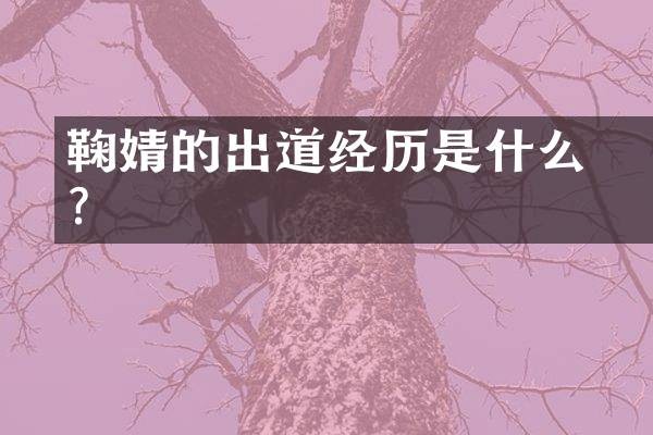 鞠婧祎的出道经历是什么？