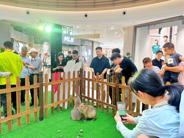 22亿打造商业奇迹！记者亲测宁波前湾新区盛世里文旅·奥特莱斯