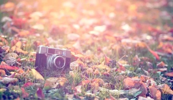 明星如何通过粉丝经济实现财富积累