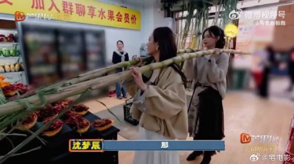 女明星的打开方式又多了一种！沈梦辰王霏霏扛甘蔗，祝事业节节高升可太会了