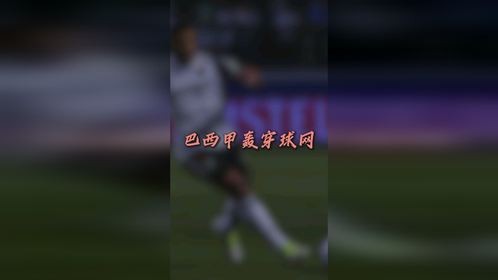 巴西甲轰穿球网