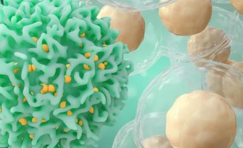 干细胞技术，揭开明星名人不老的秘密！