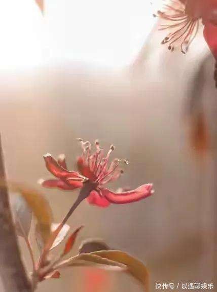 闫学晶哭穷致歉风波：明星人间清醒与公众期待的博弈