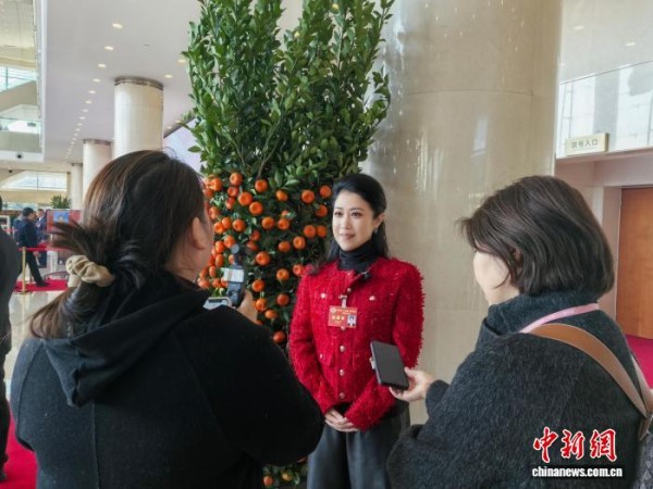 音乐家郑培钦谈戏曲发展：少点“饭圈”多点“出圈”