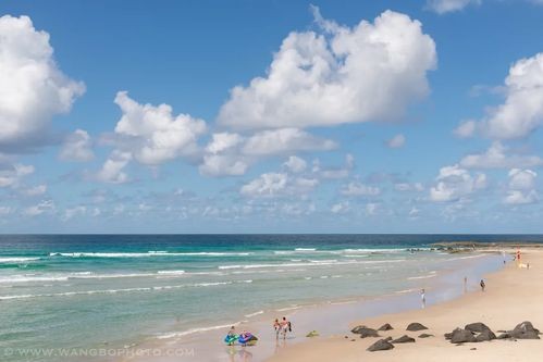 哪些明星是如何出道的,明星是怎么出道的?出道的流程你可能不知道