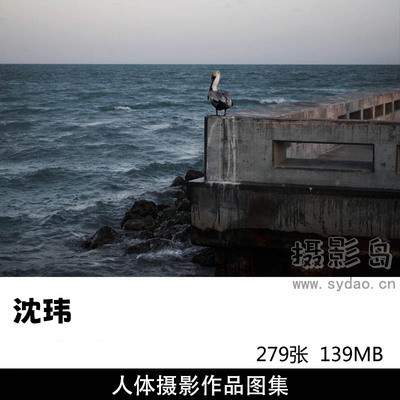 279张人体艺术摄影作品图片欣赏，摄影师沈玮摄影审美提升素材