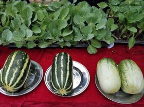 娱乐吃瓜壁纸高清图,一图览尽娱乐圈风云变幻