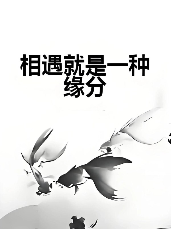 老朋友久别重逢，缘分让他们再走到一起