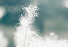 商务星眼镜管理软件