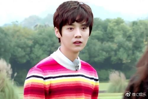 网友票选娱乐圈作品少但曝光度高的流量明星，跑男团集体上榜！