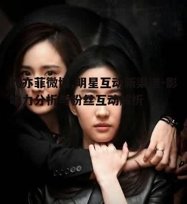 三、刘亦菲微博的粉丝影响