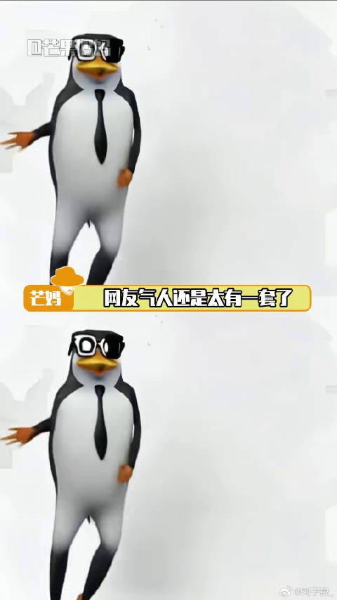 姐只是胖了而已,实力这块稳的很王诗龄微博VC计划