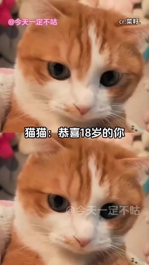 你可以 慢一点忘记我吗（cr.菜籽.） 你可以慢一点忘记我吗我的幽默灵感片场