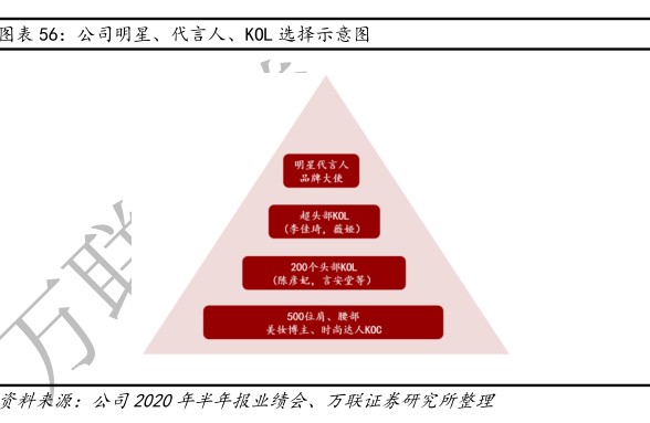 公司明星、代言人、KOL选择示意图 - 2020年12月 - 行业研究数据
