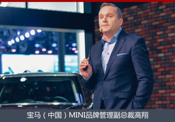 刘若英版最顾家 MINI推多款明星限量SUV-图2