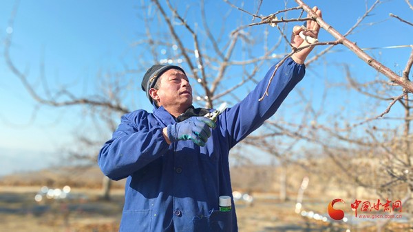 乡村振兴看甘肃
