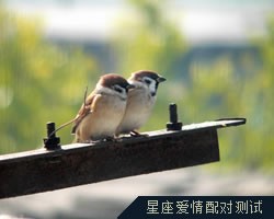 星座配对指数查询，12星座爱情配对指数，姻缘算命最准的网站，星座配对缘分测试，星座配对测试打分