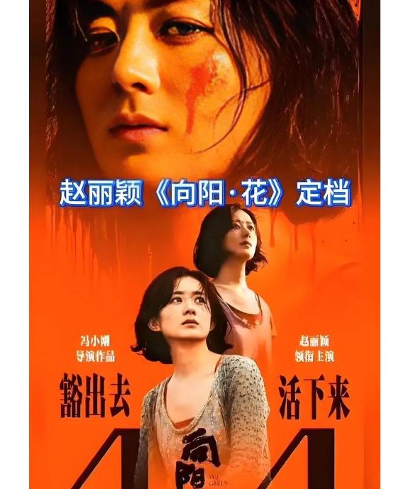 电影《向阳花》票房看好，冯小刚导演，赵丽颖程潇出演！
