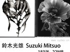 183张黑白人体艺术、花、树叶、建筑摄影作品图片图集欣赏，日本摄影师鈴木光雄 Suzuki Mitsuo作品