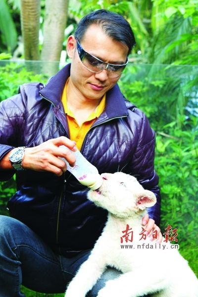 2012“美动华人”颁奖典礼在穗举行