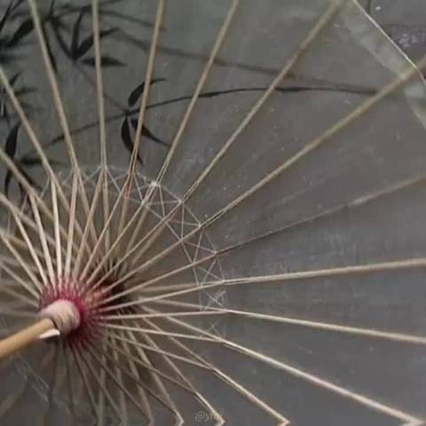 张凌赫的脸可以承包小说男主了