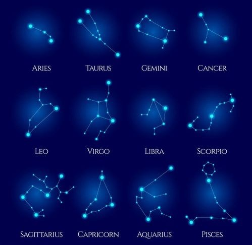 牟明珠什么星座