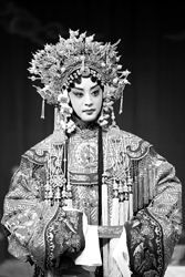 铁杆戏迷“四个希望”怎样使京剧新秀成为明星