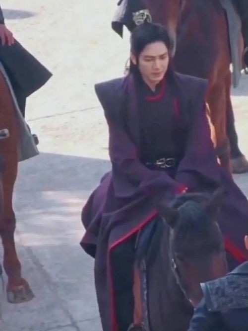 娱乐吃瓜爆料王嘉尔,娱乐圈的瓜王，揭秘明星幕后故事