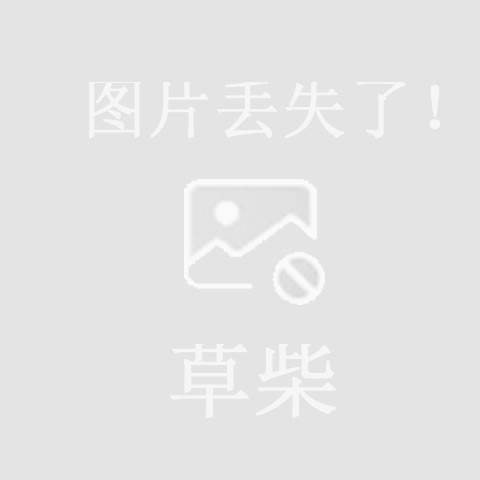 starkela新款2023复古皮扣百搭套脚