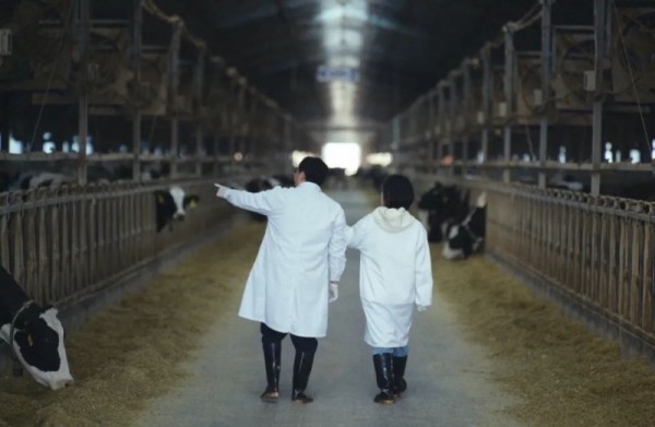 融合东北特色与品牌理念，认养一头牛×抖音商城超级品牌日收官