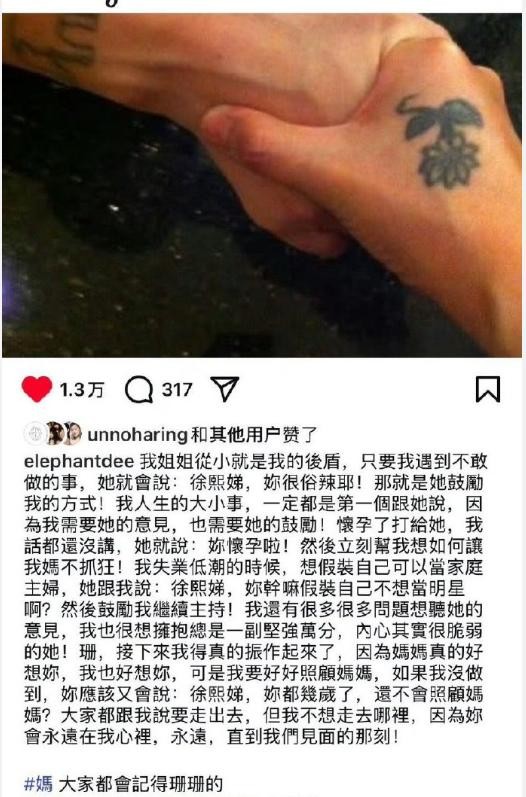 小 S 发文纪念大 S 百日，众星追忆姐妹风华