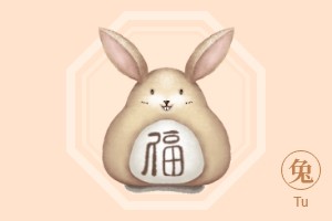 生肖兔