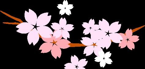 《三生三世十里桃花》：爱与误解的情感之旅